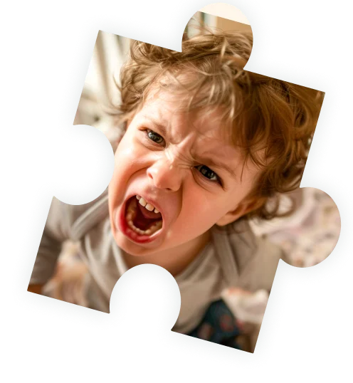 puzzleCPEQuebec